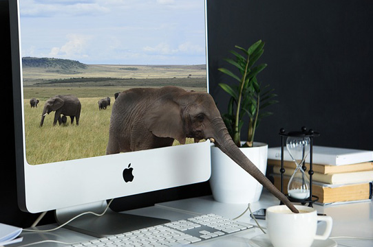 株式会社BIS | about